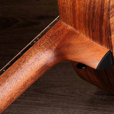 Jacob Collier Signature Model 5-String