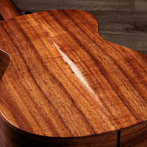 Jacob Collier Signature Model 5-String