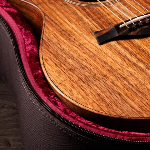 Jacob Collier Signature Model 5-String