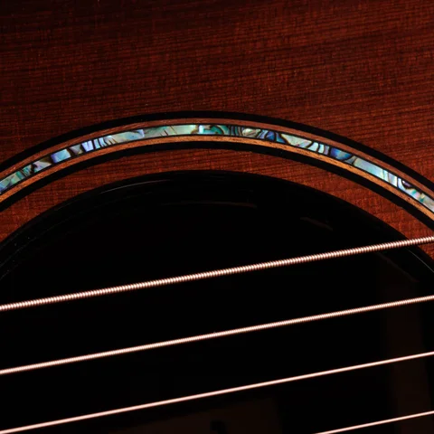 Builder's Edition 914ce LTD Macassar Ebony