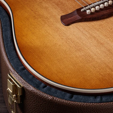 Trey Hensley Gold Label 510e Special Edition