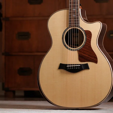 800 Series Acoustic Guitars | Taylor Guitars