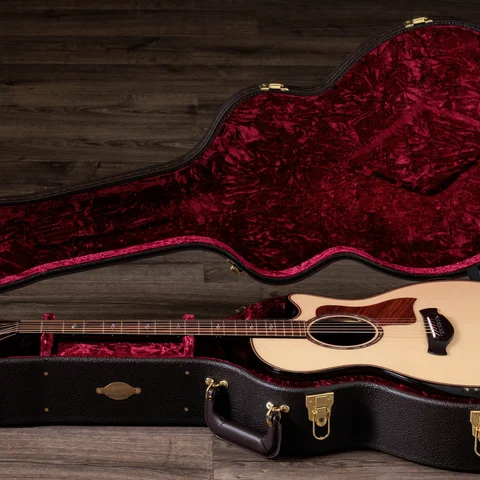 Next Generation Builder's Edition 814ce Indian Rosewood/Adirondack Spruce