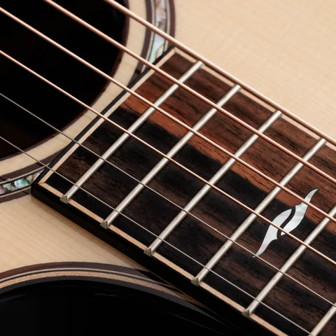 Next Generation Builder's Edition 814ce Indian Rosewood/Adirondack Spruce