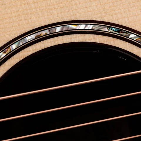 Next Generation Builder's Edition 814ce Indian Rosewood/Adirondack Spruce