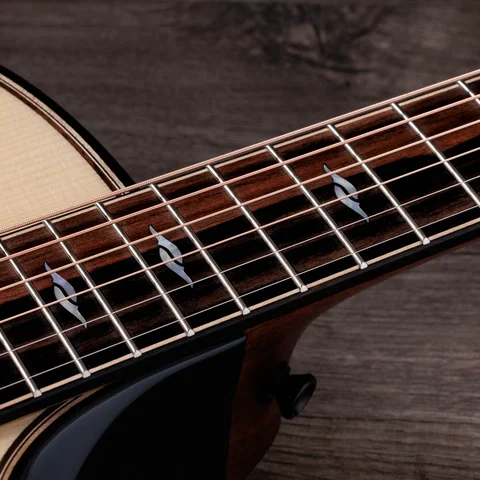 Next Generation Builder's Edition 814ce Indian Rosewood/Adirondack Spruce