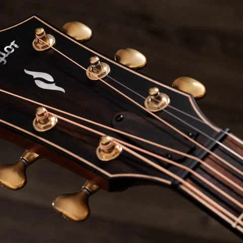 Next Generation Builder's Edition 814ce Indian Rosewood/Adirondack Spruce