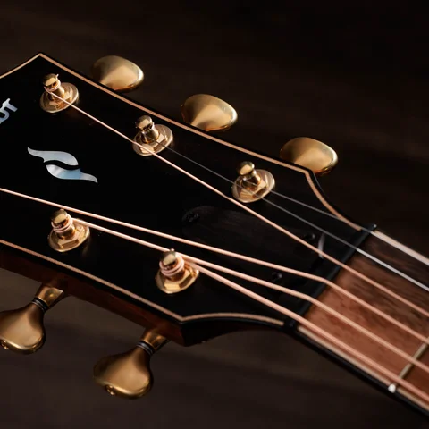 Builder's Edition 814ce LTD Macassar Ebony