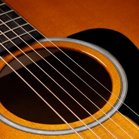 217e Plus Special Edition Honeyburst