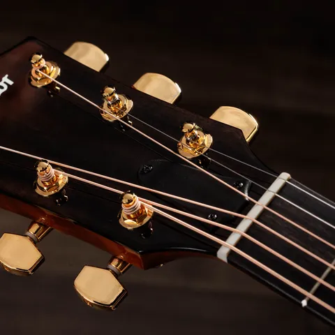 217e Plus Special Edition Honeyburst