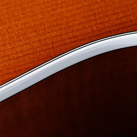 217e Plus Special Edition Honeyburst
