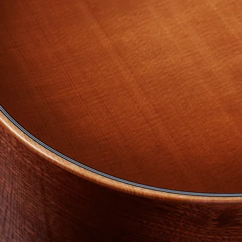 354ce Studio Special Edition Honeyburst