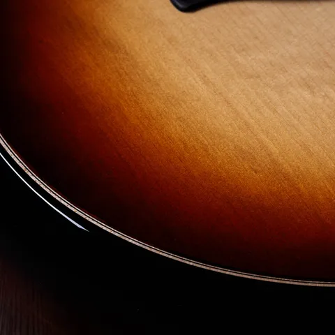 Next Generation Builder's Edition 814ce Honduran Rosewood/Adirondack Spruce