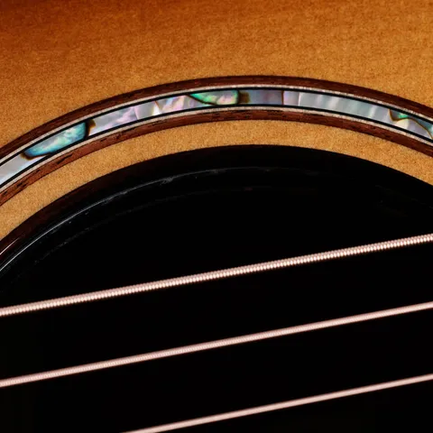 Next Generation Builder's Edition 814ce Honduran Rosewood/Adirondack Spruce