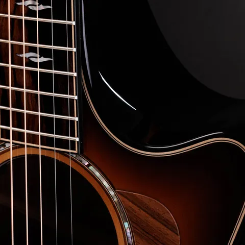 Next Generation Builder's Edition 814ce Honduran Rosewood/Adirondack Spruce