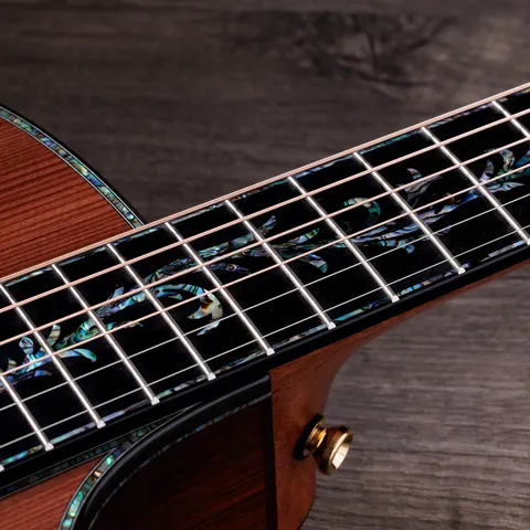 Next Generation PS14ce