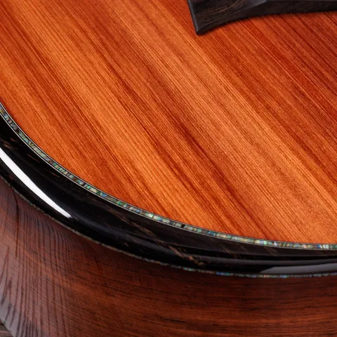Next Generation PS12ce 12-Fret