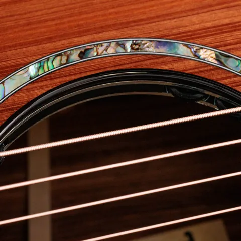 Next Generation PS12ce 12-Fret