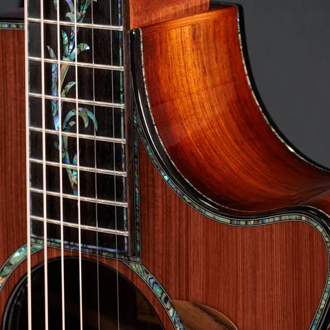 Next Generation PS12ce 12-Fret