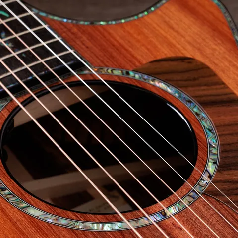 Next Generation PS12ce 12-Fret