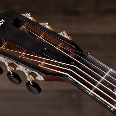 Next Generation PS12ce 12-Fret