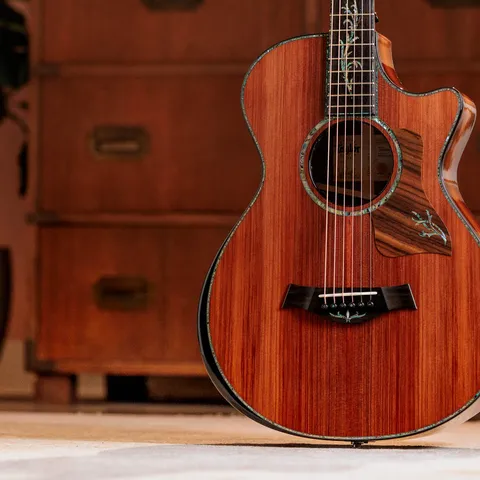 Next Generation PS12ce 12-Fret