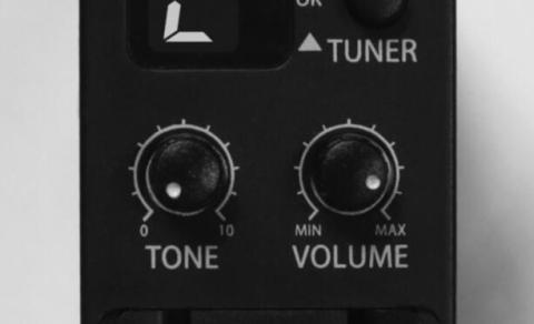 Volume and Tone Controls