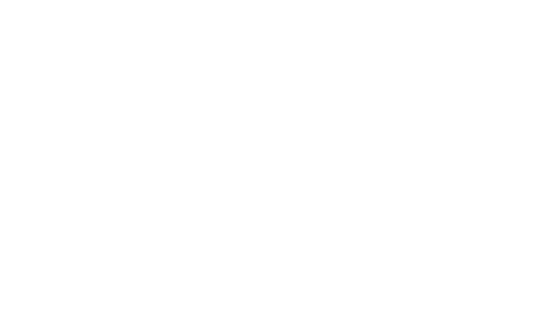 Money Icon