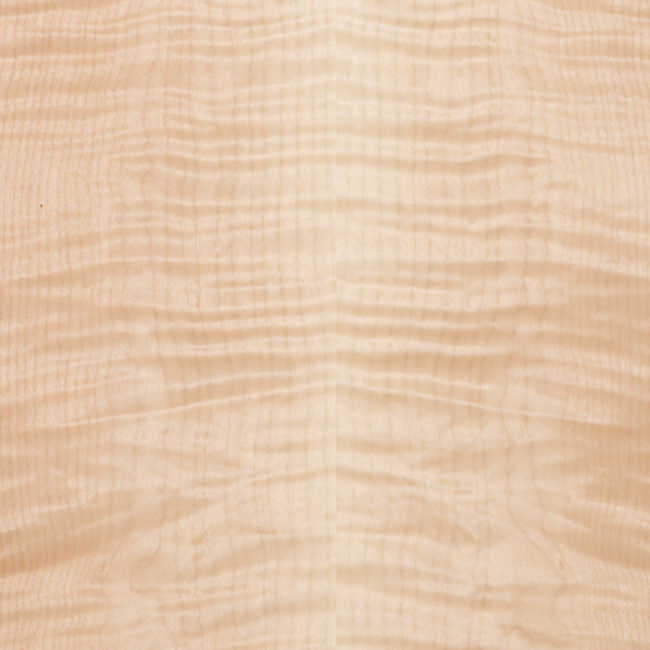 Maple