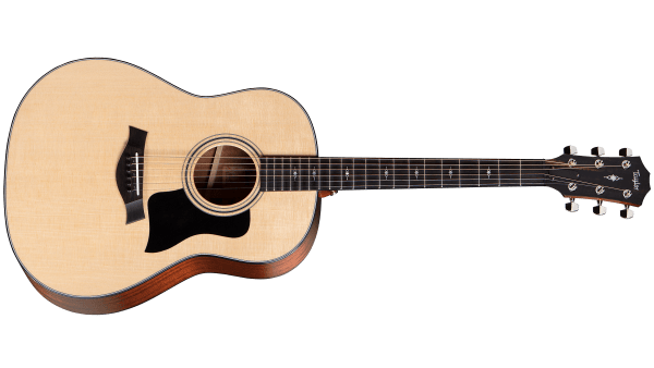 Taylor-317-NAT-v-class-fr-2019