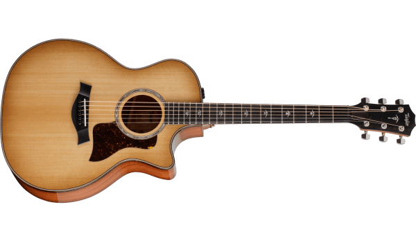 Taylor-514ce-FrontLeft-2022