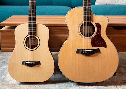 Learn more about Taylor s GS Mini