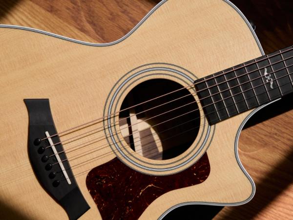 taylor-features-top-woods-sitka-spruce-412ce-R-2-col-topwoods