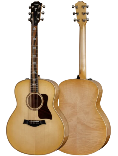 taylor-features-shapes-grand-orchestra-618e