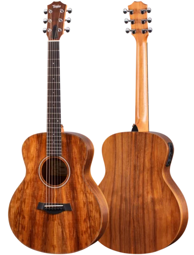 taylor-features-shapes-gs-mini-e-koa