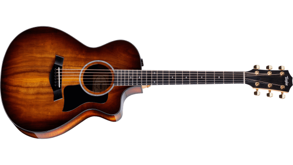 Taylor Guitars - 222ce-K DLX