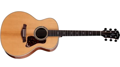 Gold Label 814ce Gallery Image Front