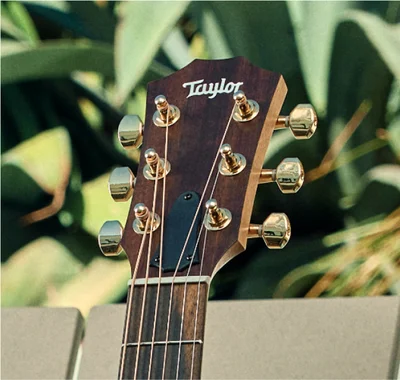 Gold Taylor tuning machines with gold buttons 