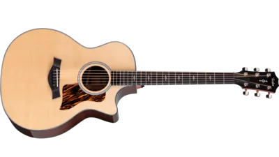 Next-Generation-Taylor-414ce