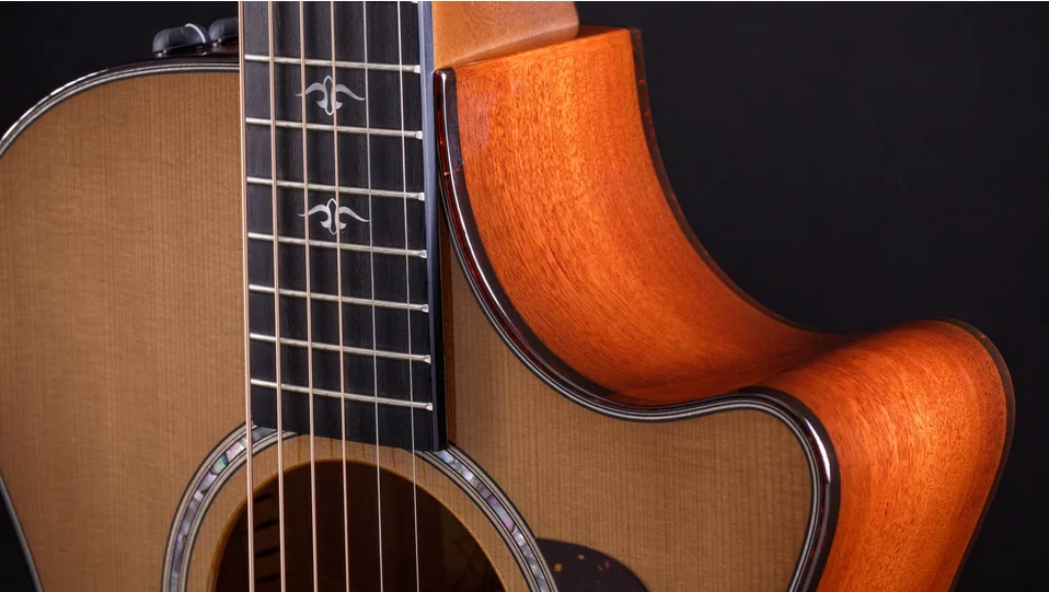 Taylor 512ce アコースティックギター 512ce Red Ironbark Acoustic-Electric Guitar | Taylor Guitars