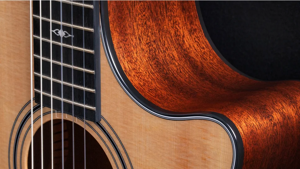 314ce-N Sapele Acoustic-Electric Guitar | Taylor Guitars