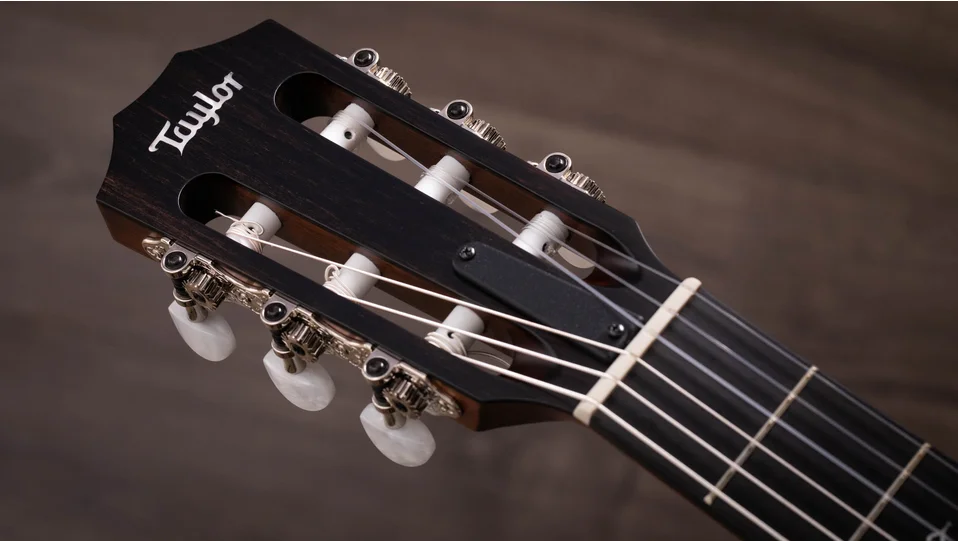 314ce-N Sapele Acoustic-Electric Guitar | Taylor Guitars