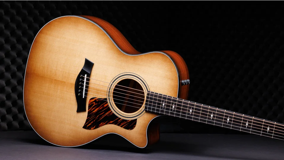ギター Taylor 314ce LTD 50th Anniversary 314ce LTD Sapele Acoustic-Electric Guitar