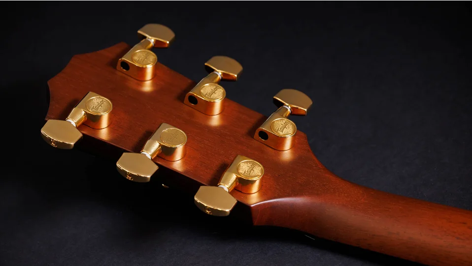 50th Anniversary 314ce LTD Sapele Acoustic-Electric Guitar