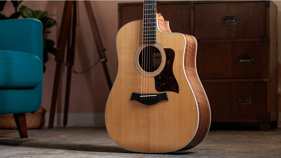 210ce Walnut Acoustic-Electric Guitar | Taylor Guitars