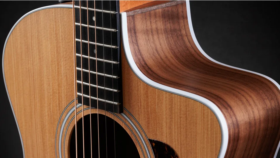 Taylor 214ce アコースティックギター　純正ケース付き Taylor 214ce アコースティックギター 純正ケース付き Taylor