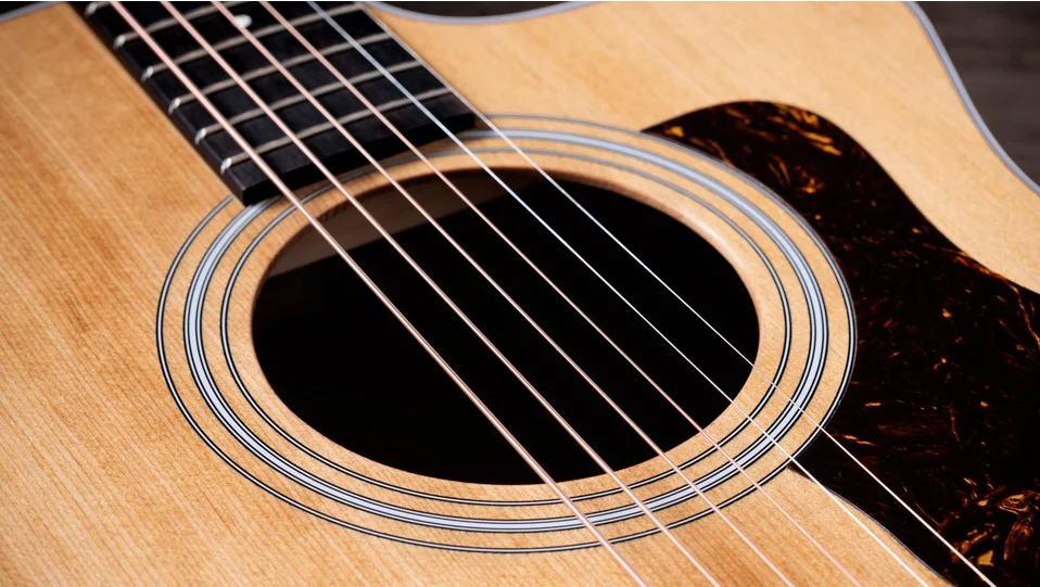 214ce Layered Walnut Acoustic-Electric Guitar | Taylor Guitars