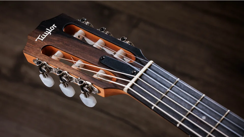 214ce-N Walnut Acoustic-Electric Guitar | Taylor Guitars