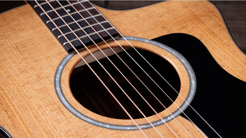 214ce Plus Indian Rosewood Acoustic-Electric Guitar | Taylor Guitars