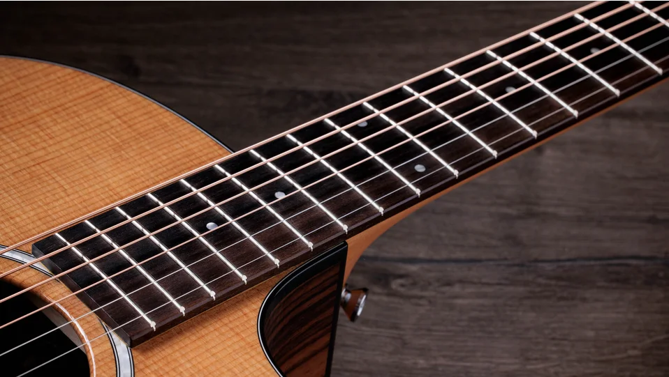 214ce Plus Indian Rosewood Acoustic-Electric Guitar | Taylor Guitars